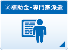 (3)補助金・専門家派遣 (3)補助金・専門家派遣